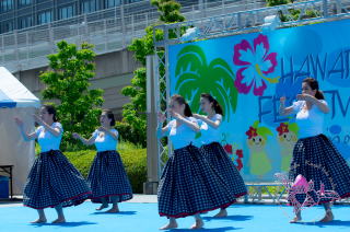 2017 湊町　ハワイフェスティバル大阪　フラダンス　イベント 5