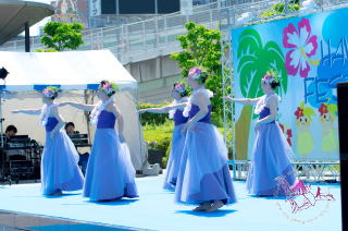 2017 湊町　ハワイフェスティバル大阪　フラダンス　イベント 11