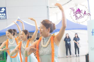 2017 ラブハワイコレクション大阪　フラダンス　イベント 8