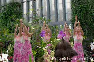 奇跡の星の植物館　フラダンス　イベント 25